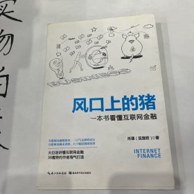 风口上的猪：一本书看懂互联网金融