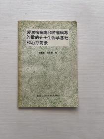 艾滋病病毒和腫瘤病毒的致病分子生物學(xué)基礎(chǔ)和治療前景