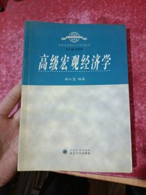 高级宏观经济学/21世纪高级经济学系列教材