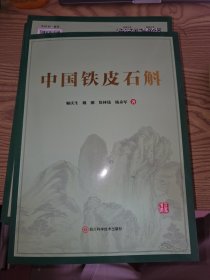 中国铁皮石斛