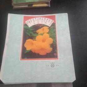 阳泉双喜牌注册商标(5张)
