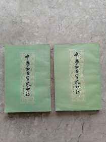 中国新文学史初稿（上下全二册）