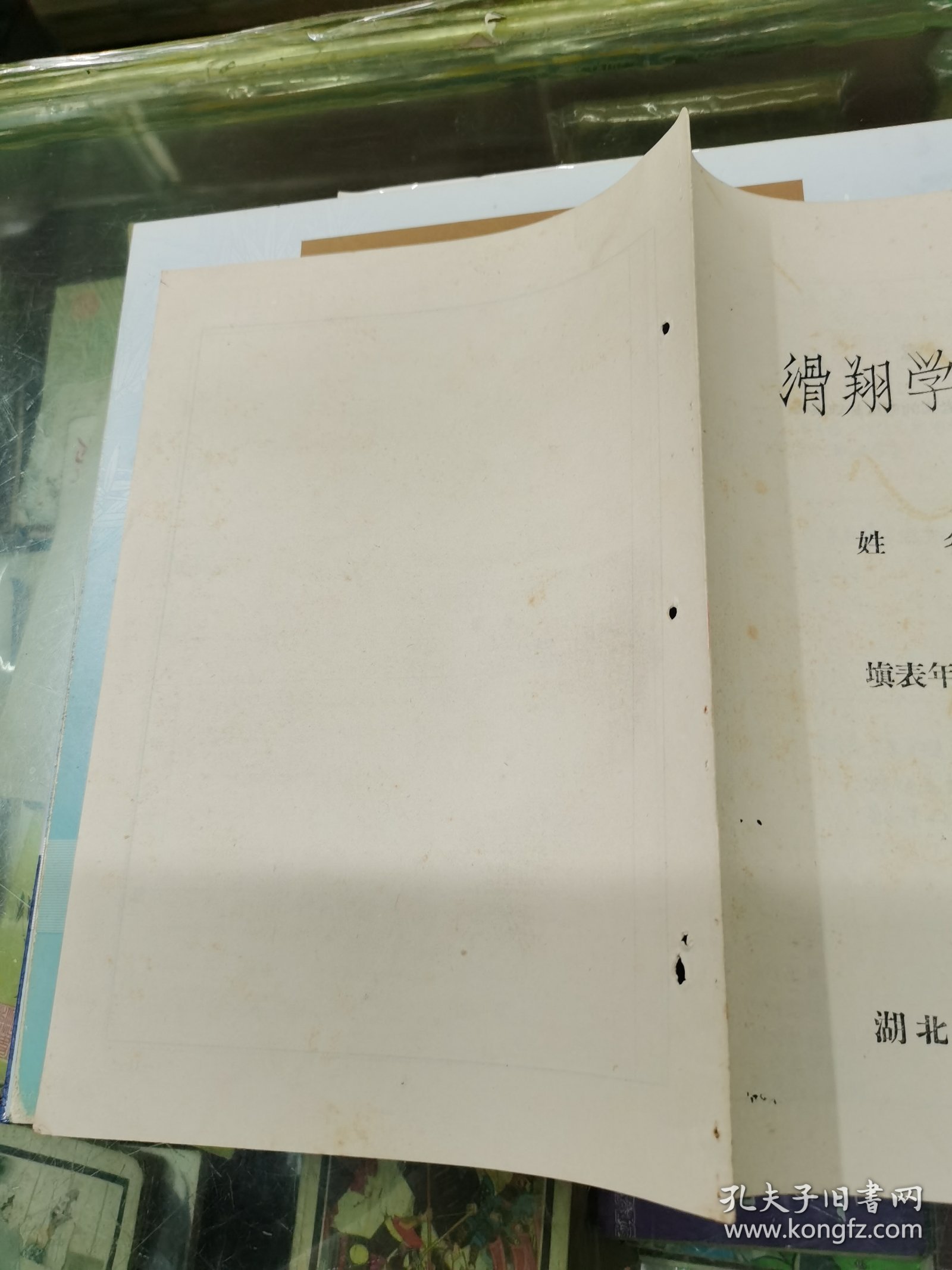 滑翔学员登记表、武汉市第三十六中学推荐意见、武汉市江汉区选调飞行员办公室审查意见、学历证明、入团志愿书、体检表、等合售、1965~1985年、同一个人、详见书影及描述