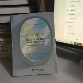 另一片四叶草——一部关于爱、信念和抗逆力的回忆录