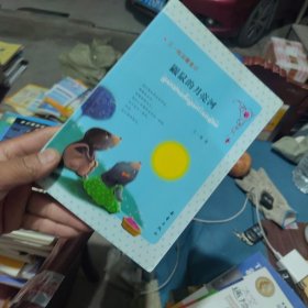 内页干净 王一梅温馨童话：鼹鼠的月亮河