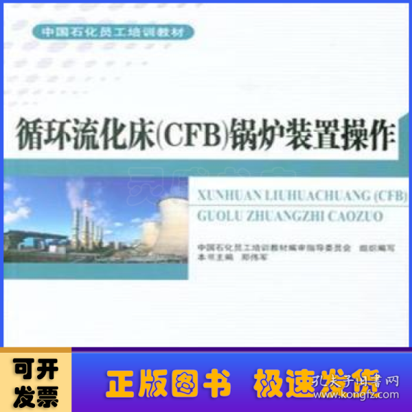 循环流化床（CFB）锅炉装置操作