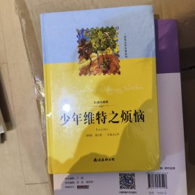 少年维特之烦恼