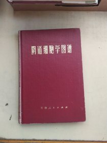 阴道细胞学图谱