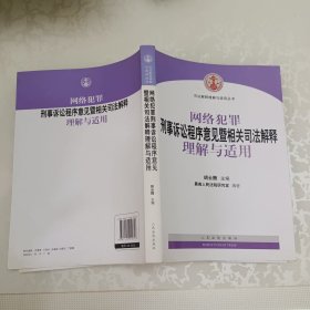 网络犯罪刑事诉讼程序意见暨相关司法解释理解与适用