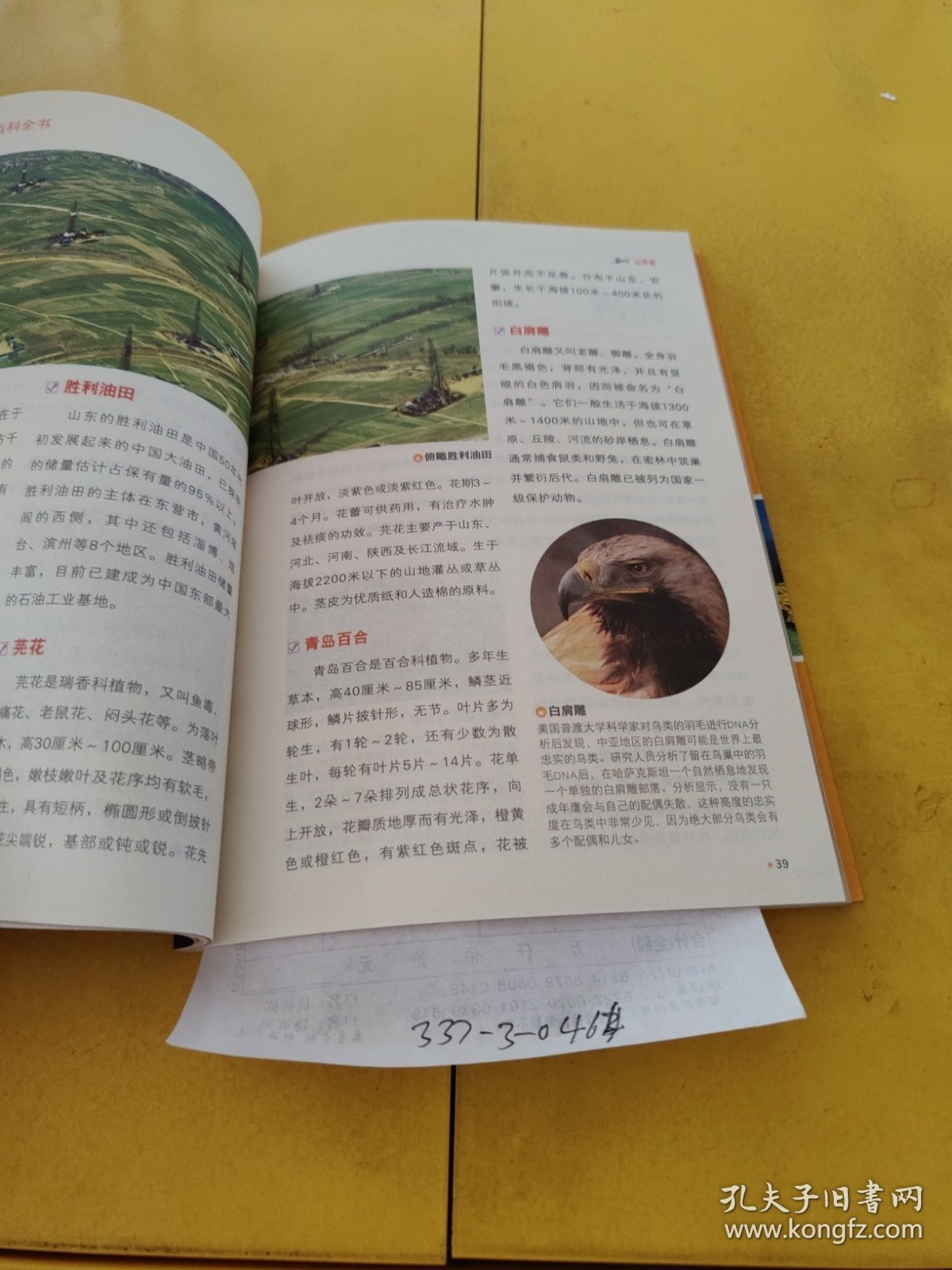 中国国家地理百科全书 山东.安徽.江西