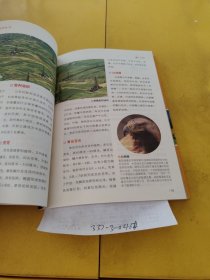 中国国家地理百科全书 山东.安徽.江西