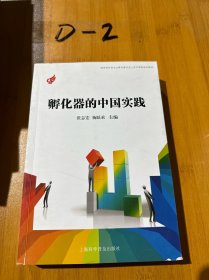 孵化器的中国实践