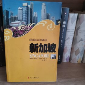 文化震撼之旅新加坡