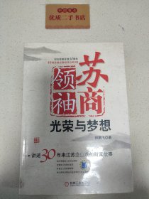 苏商领袖：光荣与梦想:讲述30年来江苏企业家的财富故事