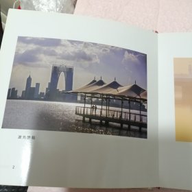王岩摄影作品集（精装）