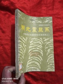 湖北震旦系 ——中国震旦系建系研究项目成果之二 【16开】