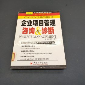 企业项目管理咨询与诊断