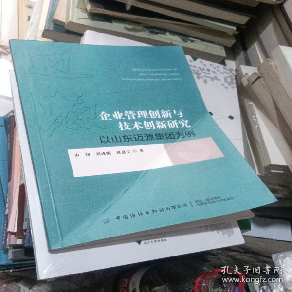 企业管理创新与技术创新研究 以山东迈源集团为例