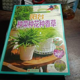 阳台种菜种花种香草