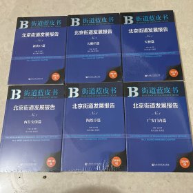 北京街道发展报告．B街道蓝皮书（六本合售）全新