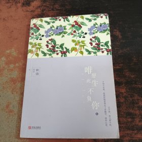 唯愿此生不负你（上）