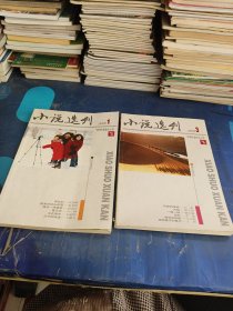 小说选刊（2009年1.3两本合售）