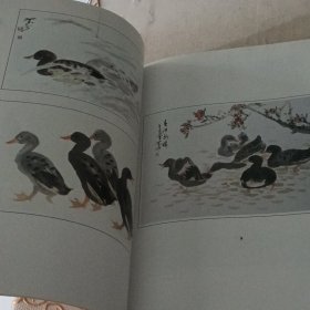 徐贤佩写意花鸟画