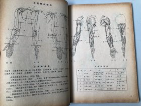 浙江美术学院编撰教材 人体结构书籍