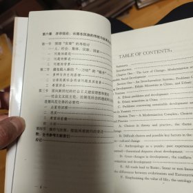 发展的选择：社会文化变迁途程中的云南民族集团