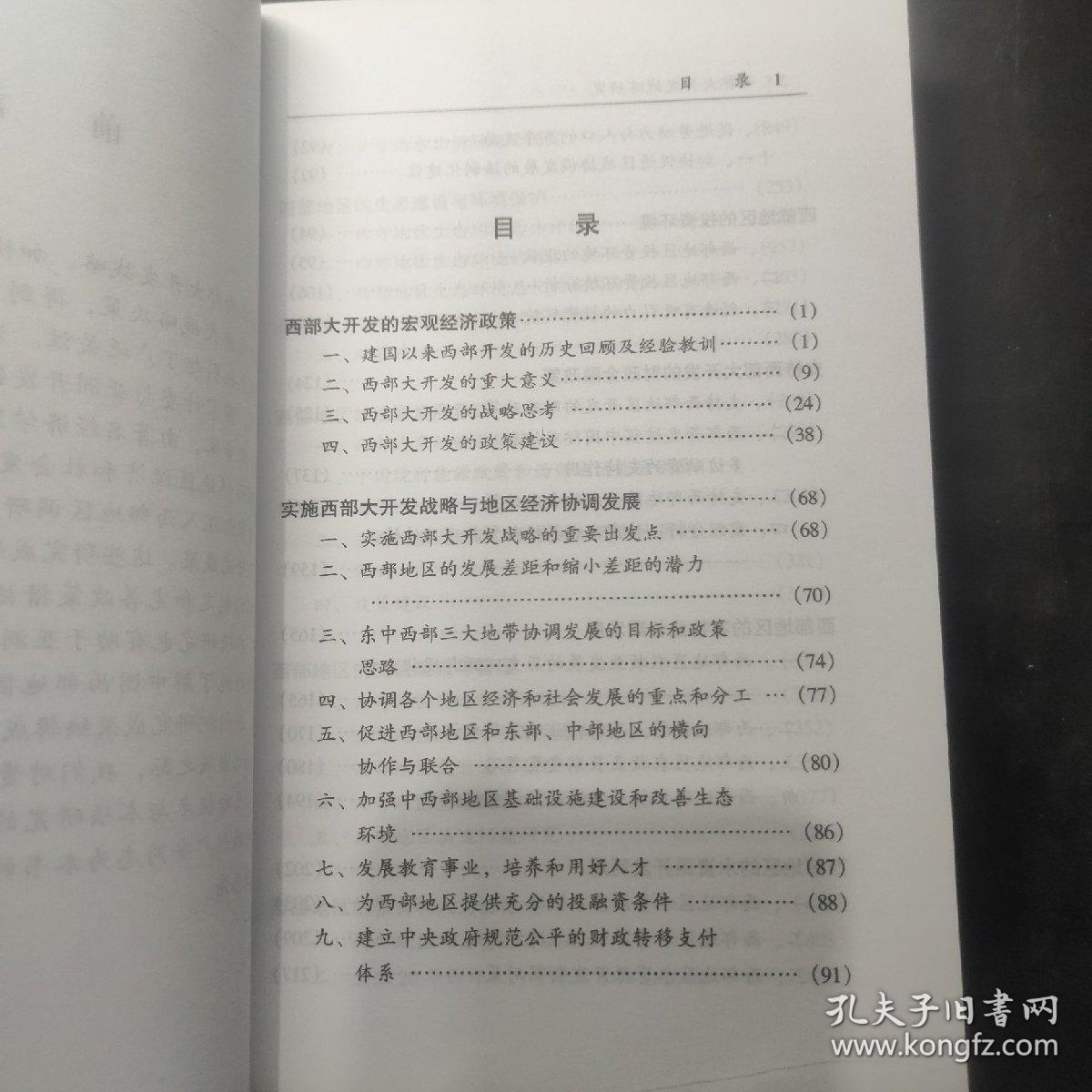 西部大开发战略研究，