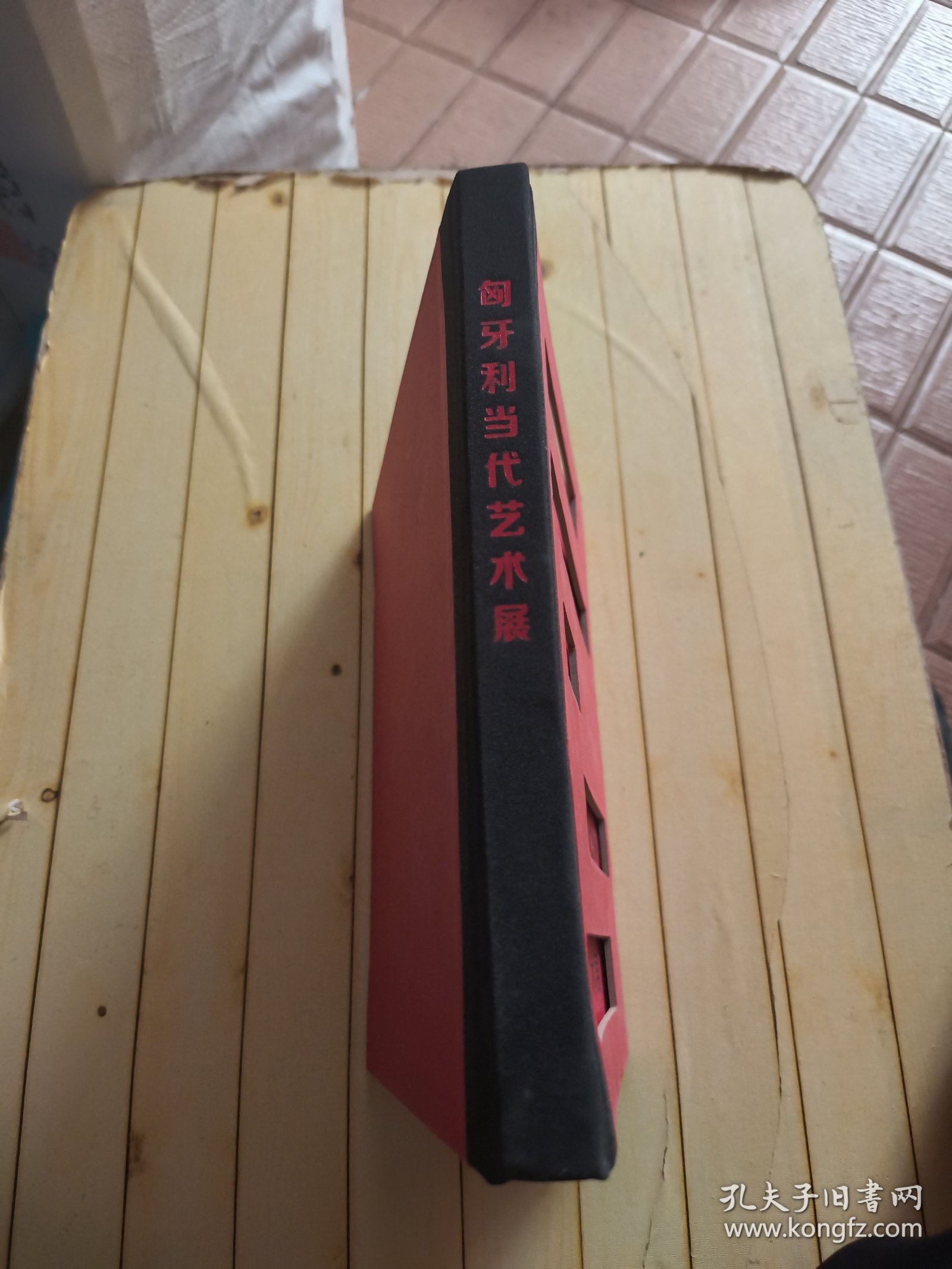 匈牙利当代艺术展