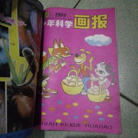 少年科学画报第一册合订本1989年一、二、三、四、六、七、八、九、十9本第二册合订本1989年十一、1990年一、二、三、四、五、六、1989年十二、五、9本合计1989年全年12本全1990年上半年1—6本总计18本