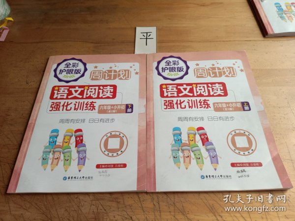 周计划：语文阅读强化训练（六年级+小升初）（全2册）（全彩护眼版）