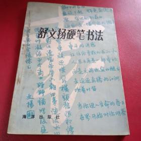 舒文扬硬笔书法