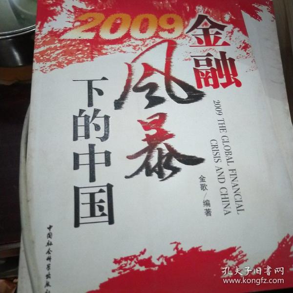 2009金融风暴下的中国