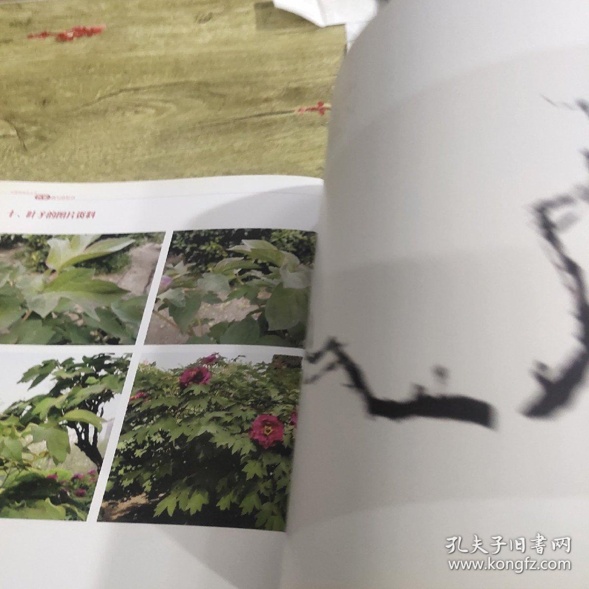 中国画技法丛书：名家画写意牡丹