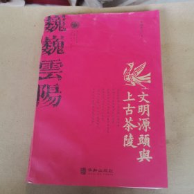 文明源头与上古茶陵，书脊有一点点破损