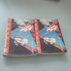 丹心孤剑(2.3)
