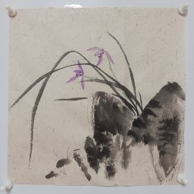 无款国画兰花作品画一尺斗方写意 温州皮纸绘制