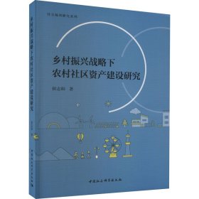 乡村振兴战略下农村社区资产建设研究 侯志阳 中国社会科学出版社