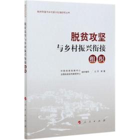 脱贫攻坚与乡村振兴衔接：组织（脱贫攻坚与乡村振兴衔接研究丛书）