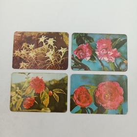 年历卡 1975年 植物花卉 年历片 星花 大玛瑙 等4枚合售