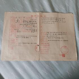 1954年沈阳市沈河区广源副食品商店 员工团员登记表(油印单)