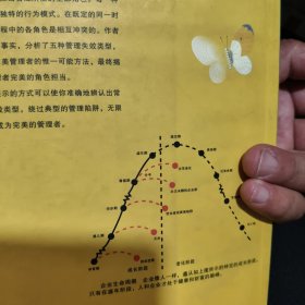 完美管理者