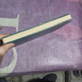 现代数学新进展,刘徽数学讨论班报告集