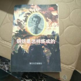 钢铁是怎么样炼成的