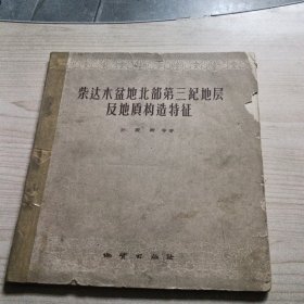 柴达木盆地北部第三纪地层及地质构造特征【附图17幅]】