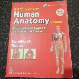 Human Anatomy:Region