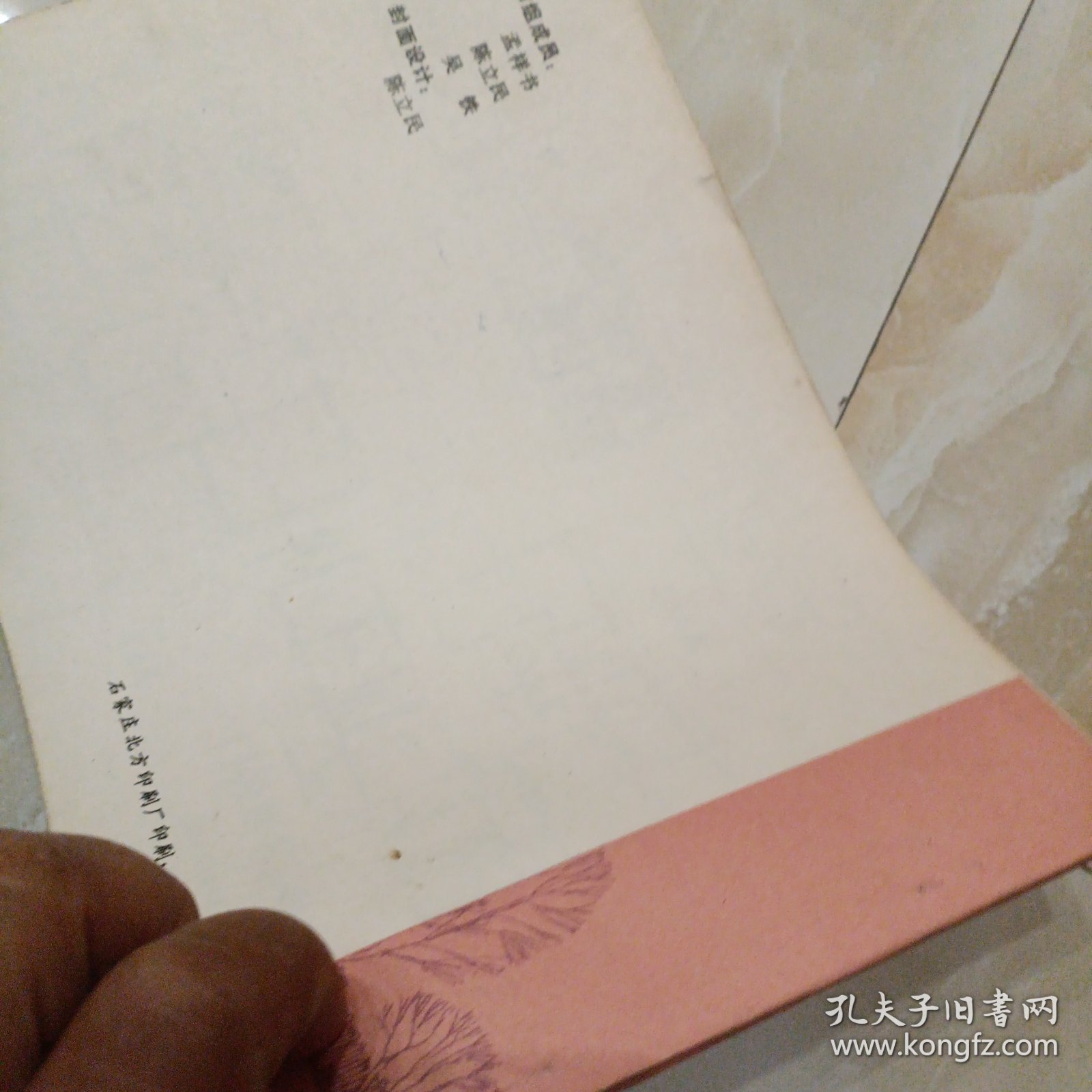 村镇公共建筑图集（文娱，医疗建筑）