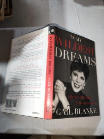 IN MY WILDEST DREAMS GAIL BLANKE